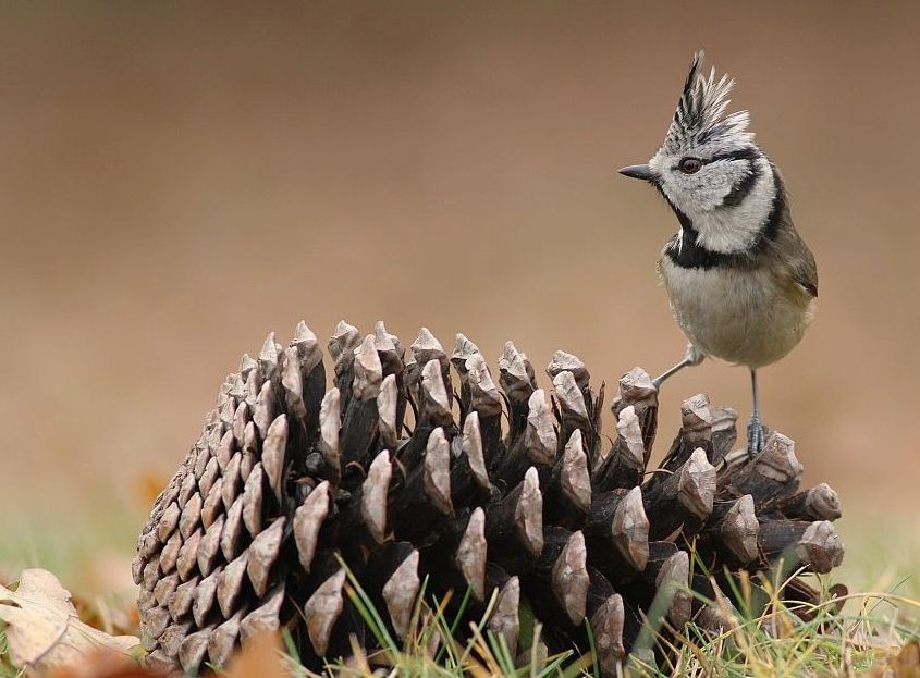 Wartość zależy od okoliczności. Woda jest cenniejsza niż złoto dla …