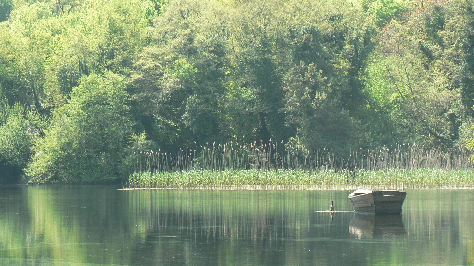 My nie mieliśmy nic, więc cieszyliśmy się ze wszystkiego.