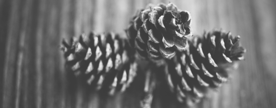 Nie przyciągasz wyłącznie wypadków, to nie dość szeroka definicja. Ty, …