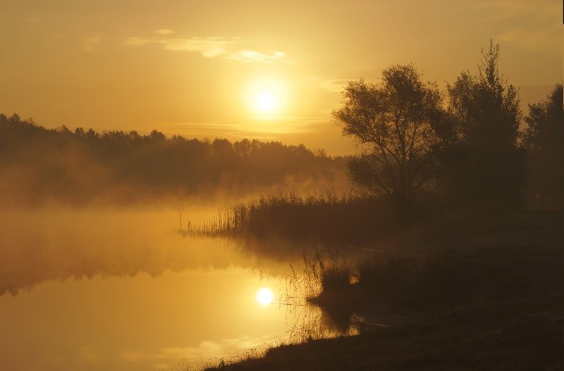 Mam wrażenie, że poranki klaszczą żeby mnie obudzić.