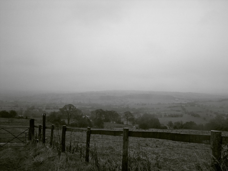 Ludzie lubią przeglądać się w mętnych zwierciadłach.