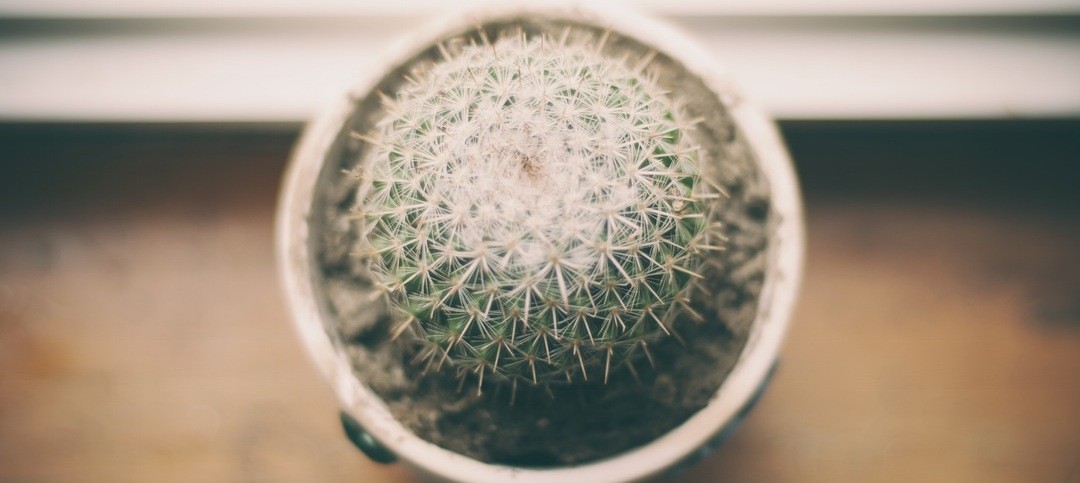 Zaopiekuj się moim sercem – zostawiłem je przy tobie.