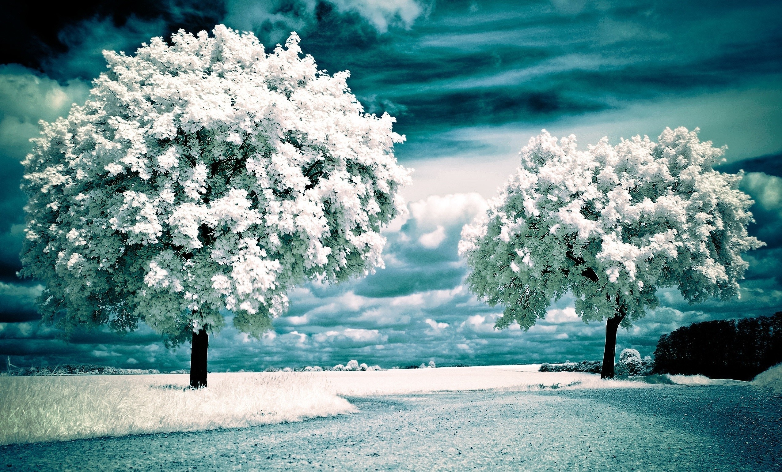 Po spojrzeniu na Adama Stwórca zapłakał i stworzył arcydzieło – …