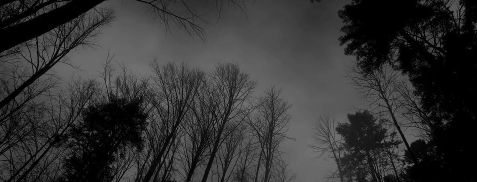 Strach i kłamstwa jątrzą się w ciemności. Prawda może ranić, …