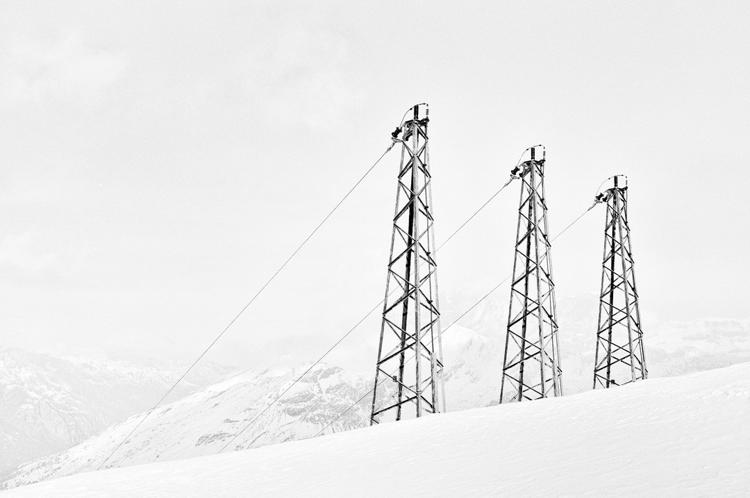 Niestety, ta pełna nadziei znajomość nim zapuściła korzenie, uschła.