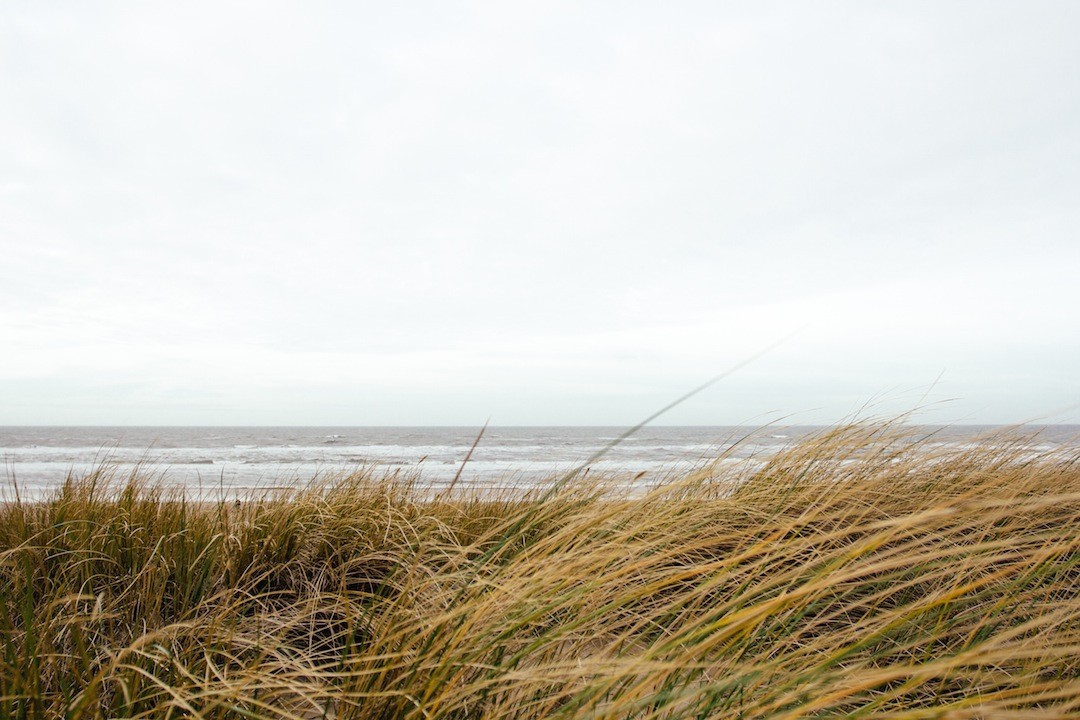 Muzyka, będąc ze swej natury nieśmiertelna, potrafi czasem przedłużyć życie …