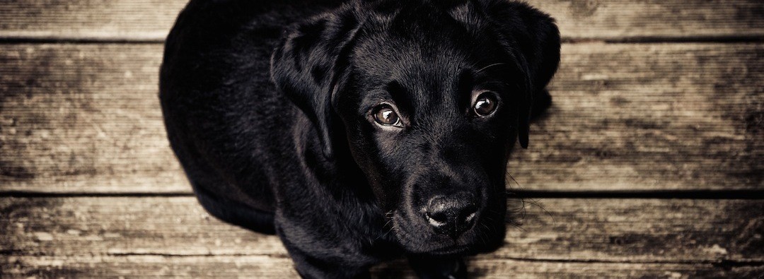 Okazuje się że jestem taki sam jak wszyscy ludzie – …