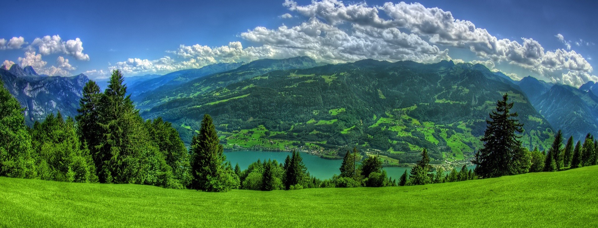 Cóż, półprawda jest najlepszą przyjaciółką kłamstwa.