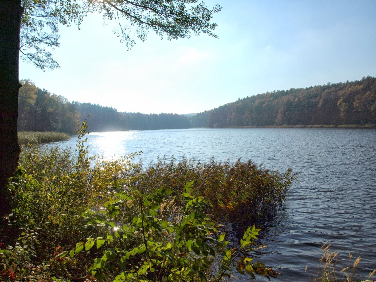 Ja nie kocham słowami. Nie lubię słów, niektóre są chyba …