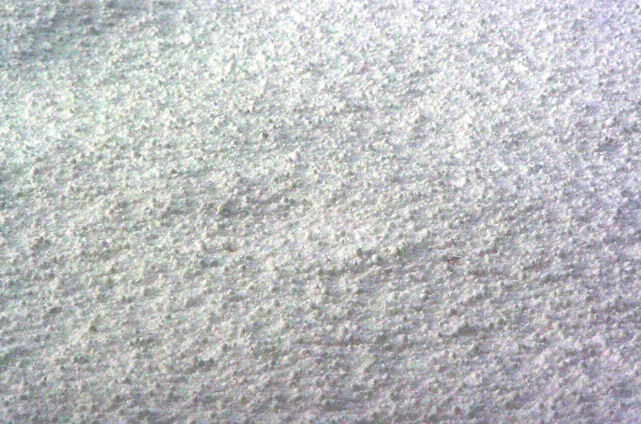 Życie to pasmo bólu i najlepiej by było, gdybyś się …