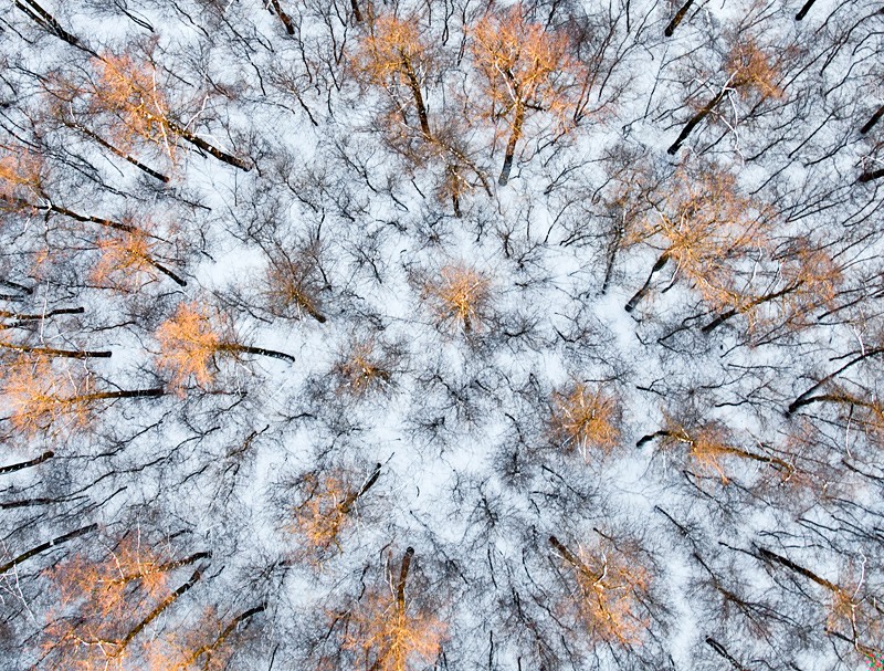 Kiedy wznosisz się wysoko, łatwo jest zajrzeć za zakręty czasu, …