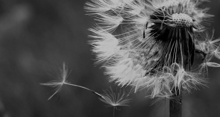 Jak słońce topi lód, tak dobroć usuwa nieporozumienia, nieufność i …