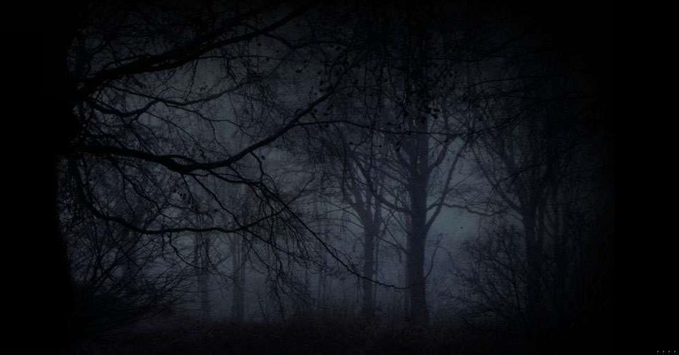 Ciemność jest sojusznikiem tych, którzy zamierzają uciekać.