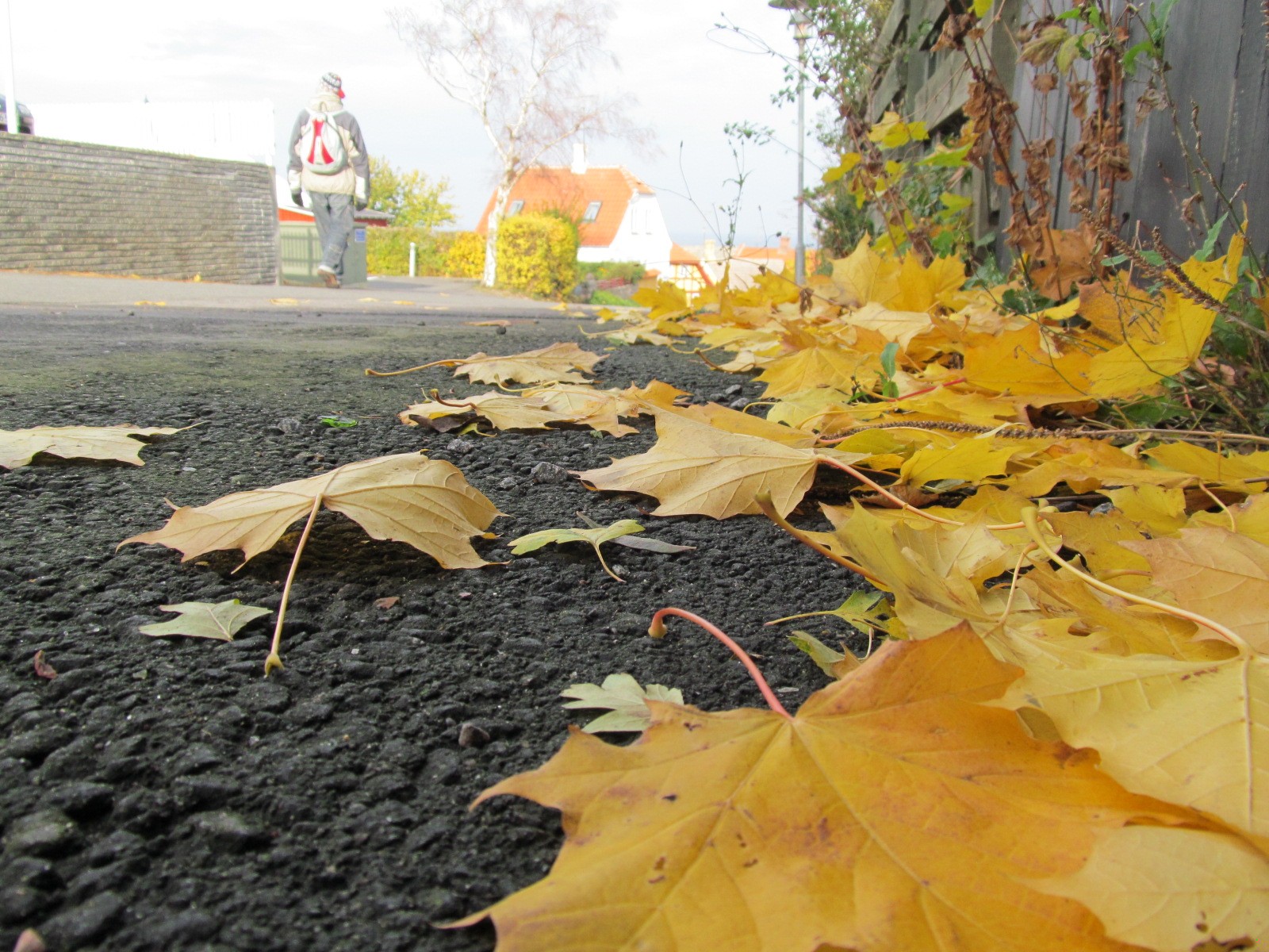 Zwyczajny człowiek. Okrutny, głupi, mściwy. Jak wszyscy.