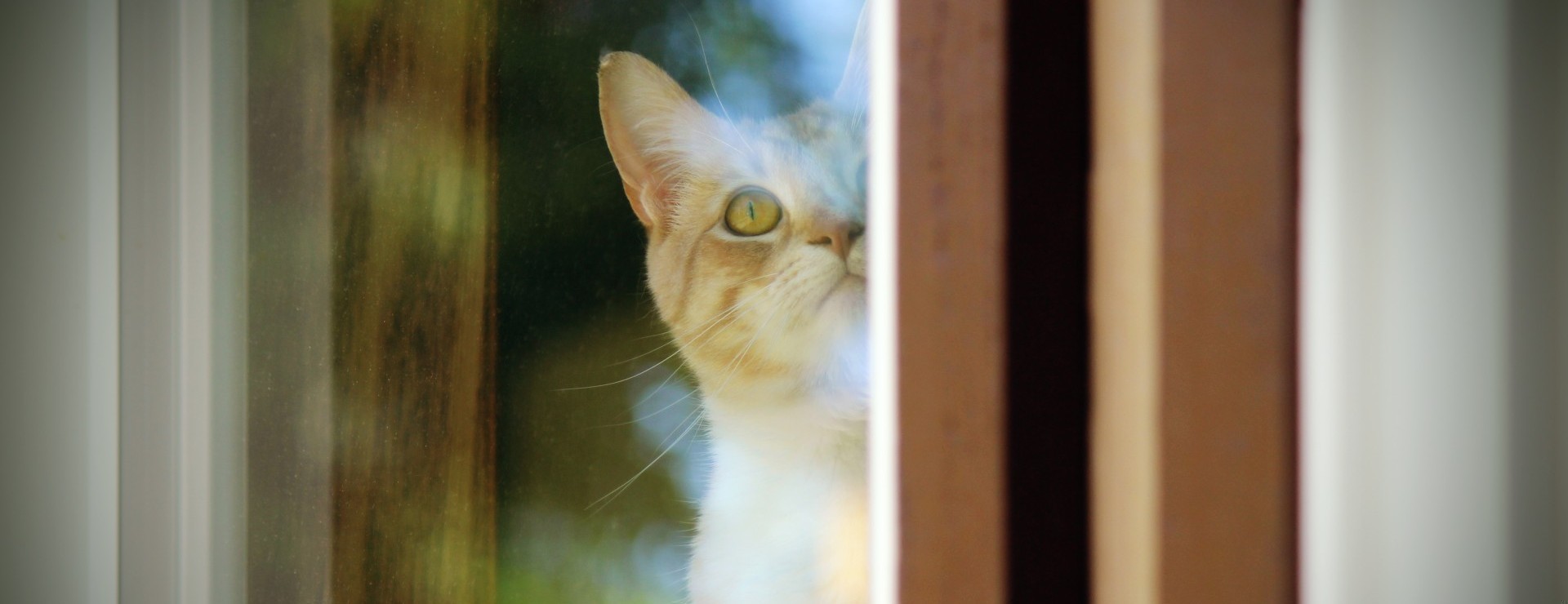 Zobaczyłeś mnie, zanim ja zauważyłam ciebie.