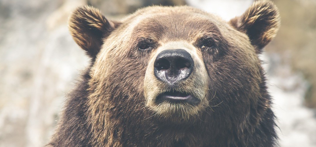 Życie rzadko kiedy bywa takie, o jakim marzymy.