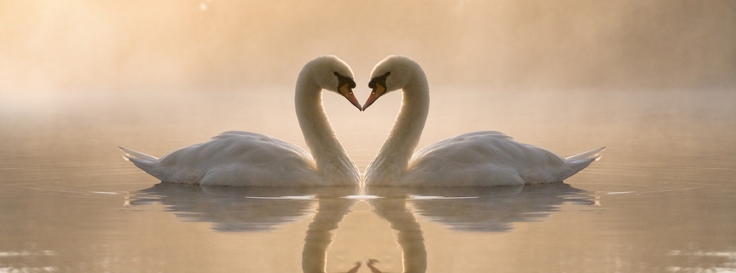 Miłość oznacza dzielenie się z drugą osobą tym, co dobre, …