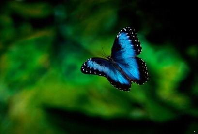 „Innym ciekawym aspektem tego nowego stanu był mój odmienny związek …