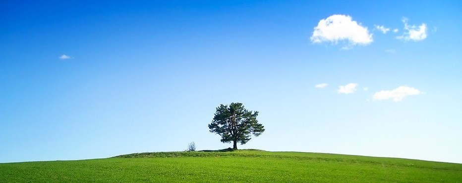 Albowiem czysta wola, niezaspokojona celem, wolna od żądzy rezultatu, jest …
