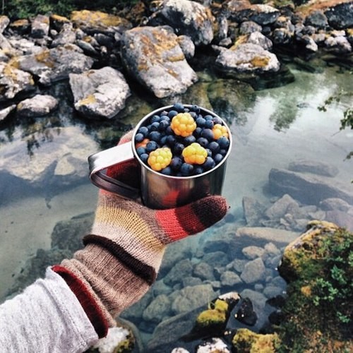 Słowa są tylko pyłem na wietrze, a pył wyklucza kontrast.