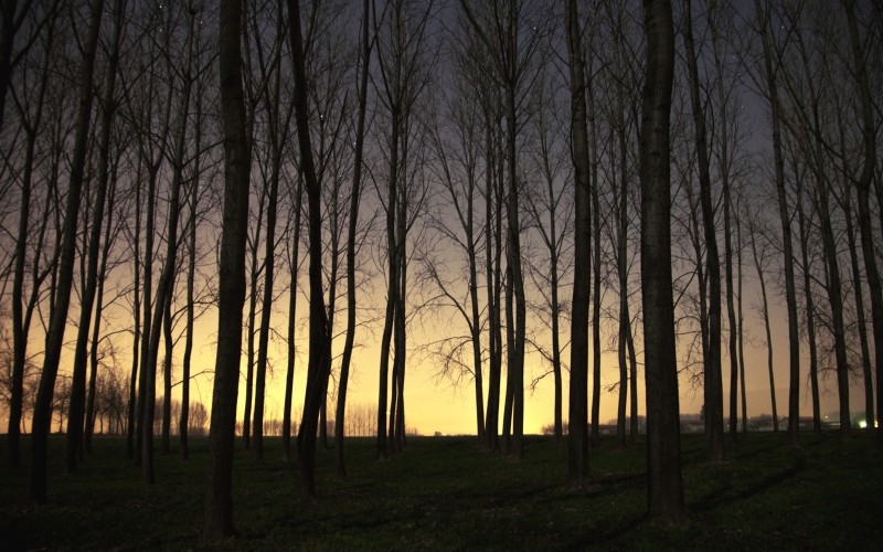 Kiedy jestem w ciemnościach, chcę myśleć że jestem w świetle, …