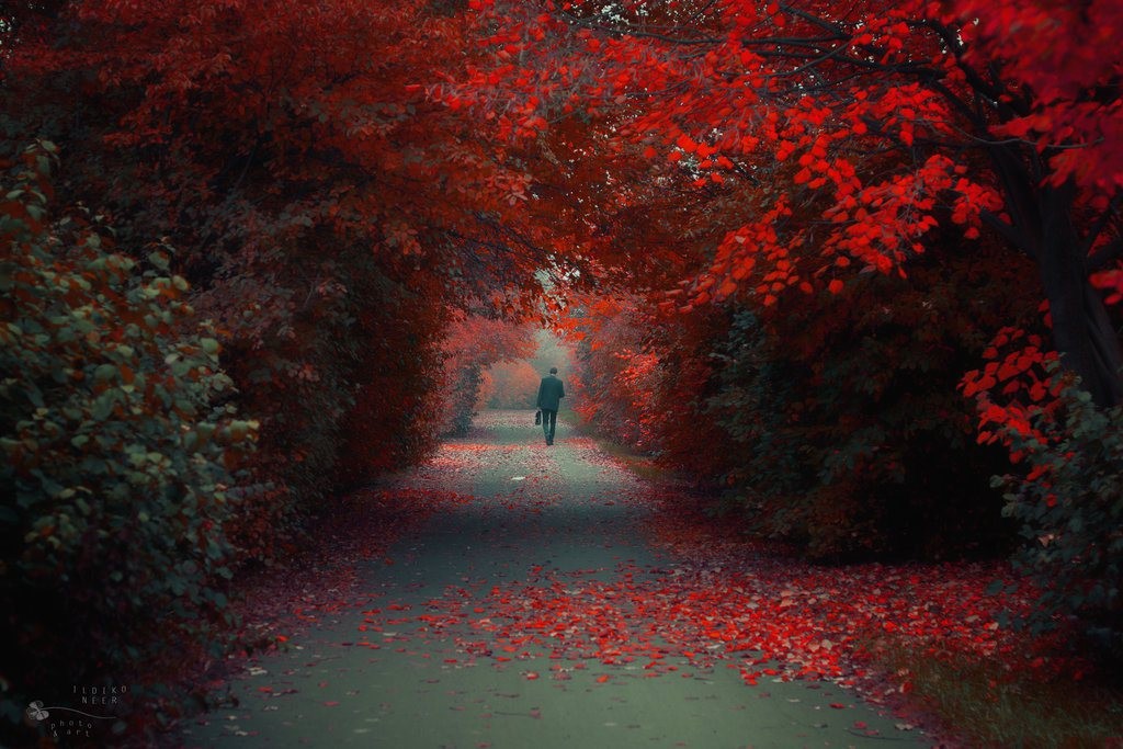 W sercu ludzi najbardziej nieczułych są struny, które lada dotyk …