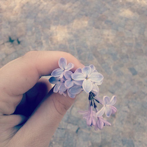 Czy wszystko co osiągnęliśmy to tylko…brak czasu?