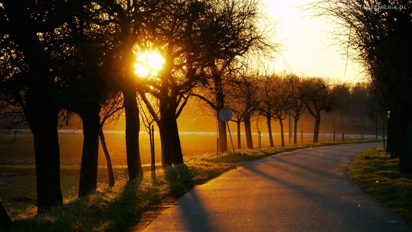 Musimy coś zrobić, co by od nas zależało, zważywszy, że …