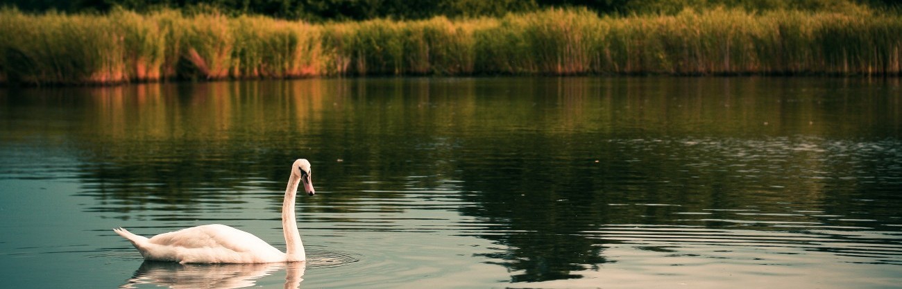 Czasem chcesz uciec od świata, czasem chcesz uciec od siebie.