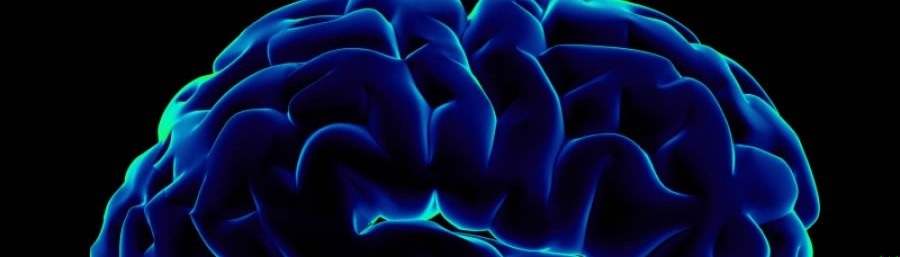 Być może jestem głupi, ale zostało mi jeszcze kilka komórek …