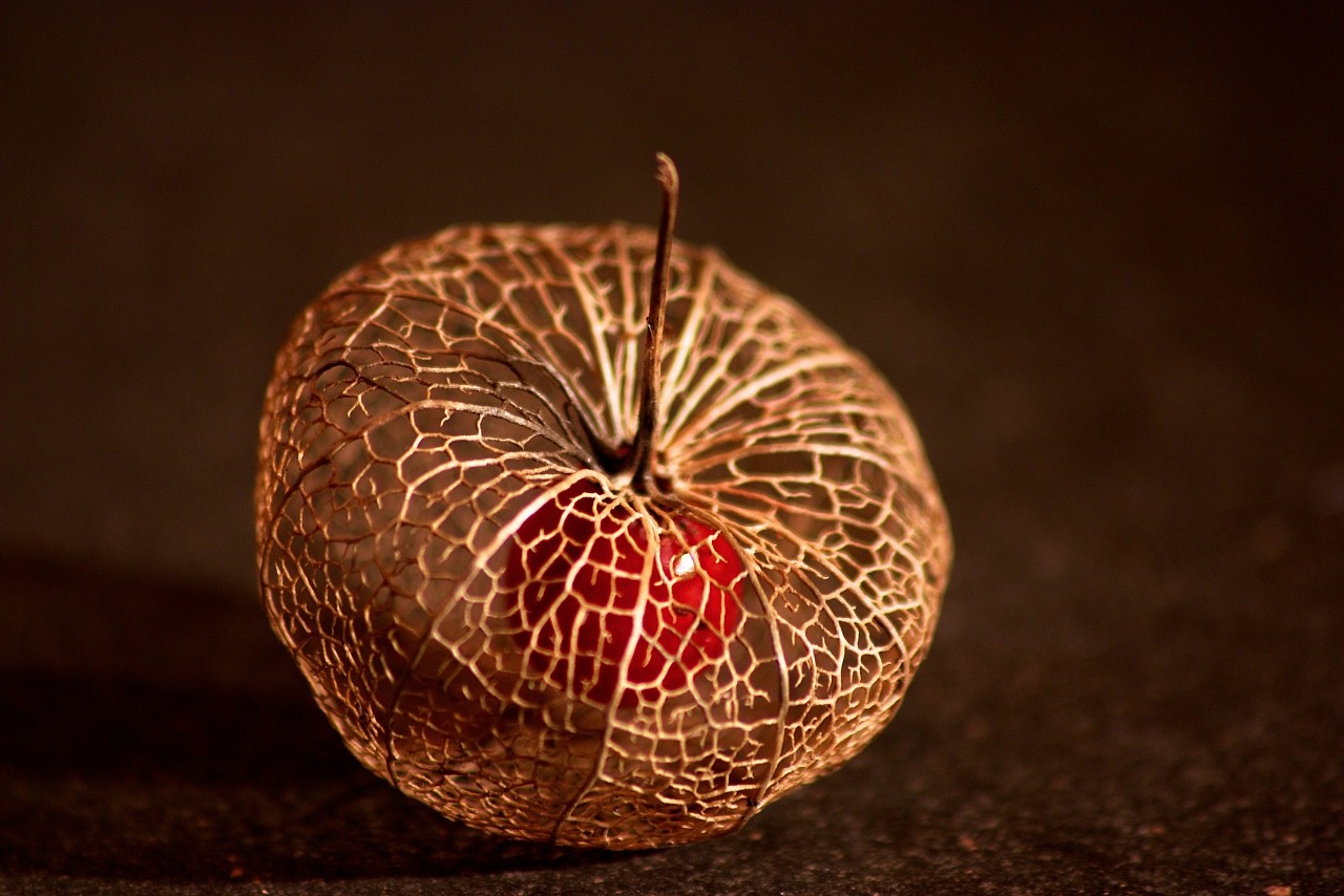 Ostatecznie reguły są po to, by je łamać.