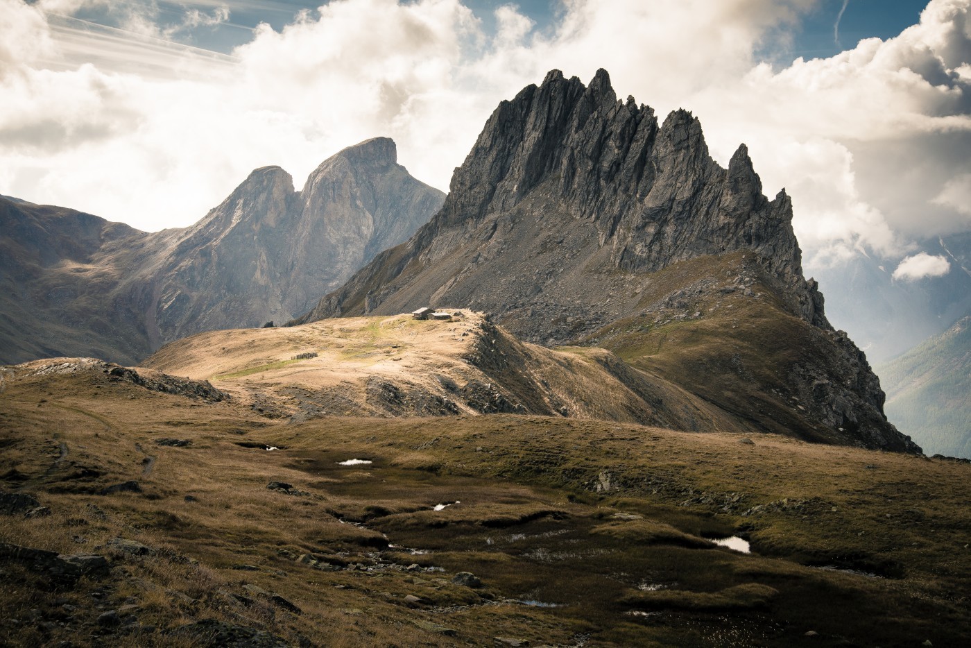 Mozolnie sunę przez życie, z dnia na dzień akceptując to, …