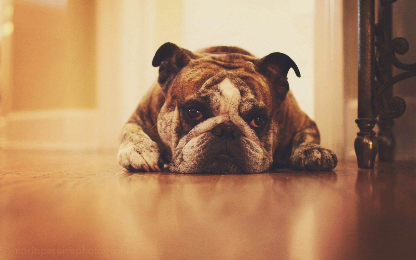 Okazje są jak wschody słońca. Jeśli czeka się zbyt długo, …