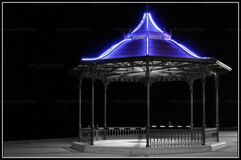 Porobiłem rozmaite znajomości, towarzystwa jednak nie znalazłem do tej pory.