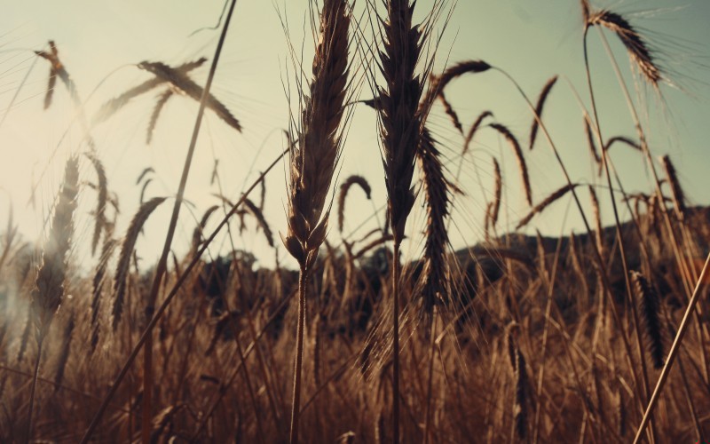 Czasem człowiek zapomina, że na tym świecie nie wszyscy są …