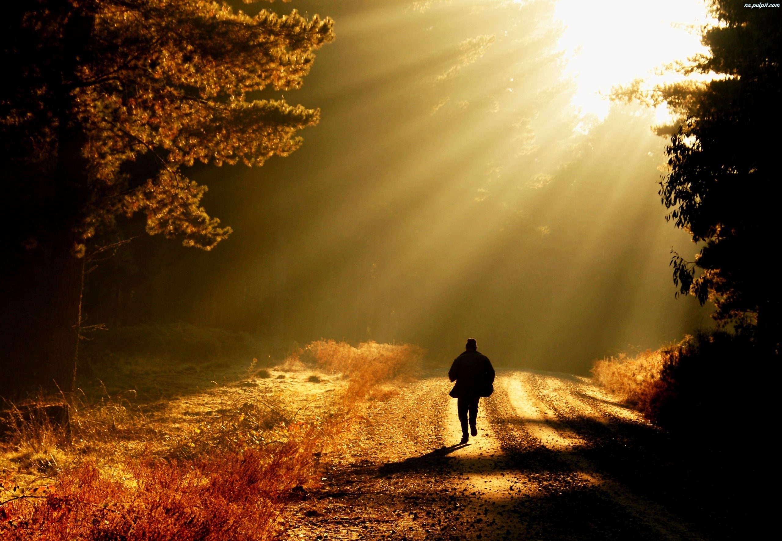 To nie ty kroczysz drogą. Ta droga wiedzie przez ciebie.