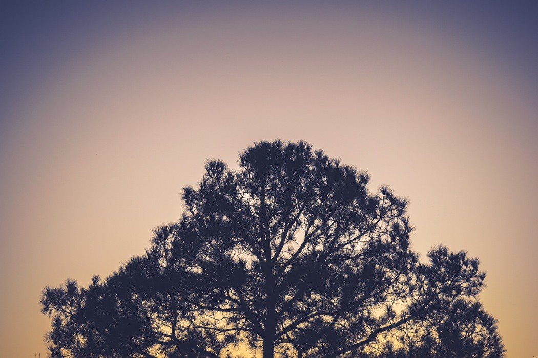 Nie da się poznać do końca drugiego człowieka, choćby nie …