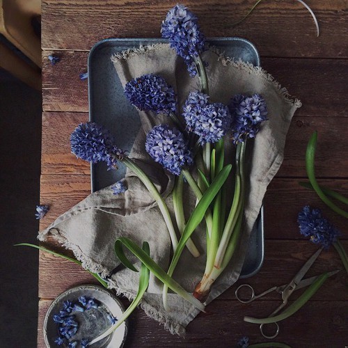 Nie wszystko złoto, co się świeci.