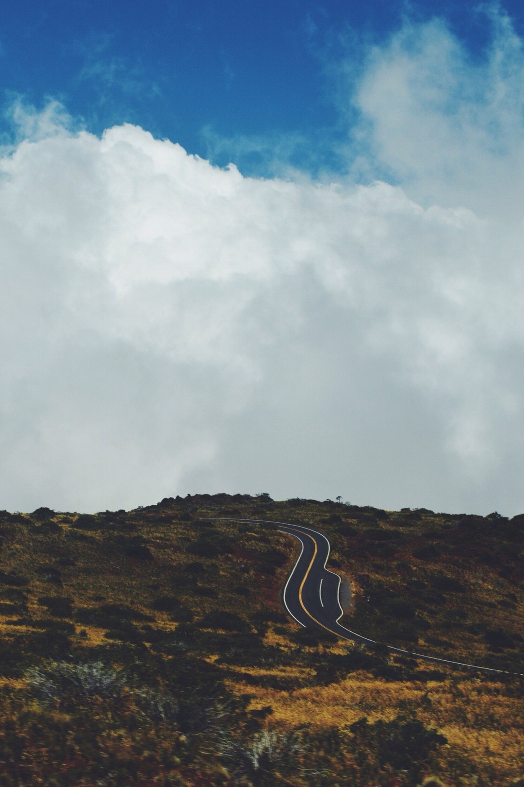 Noc była ciepła i wilgotna jak łono wszetecznicy.