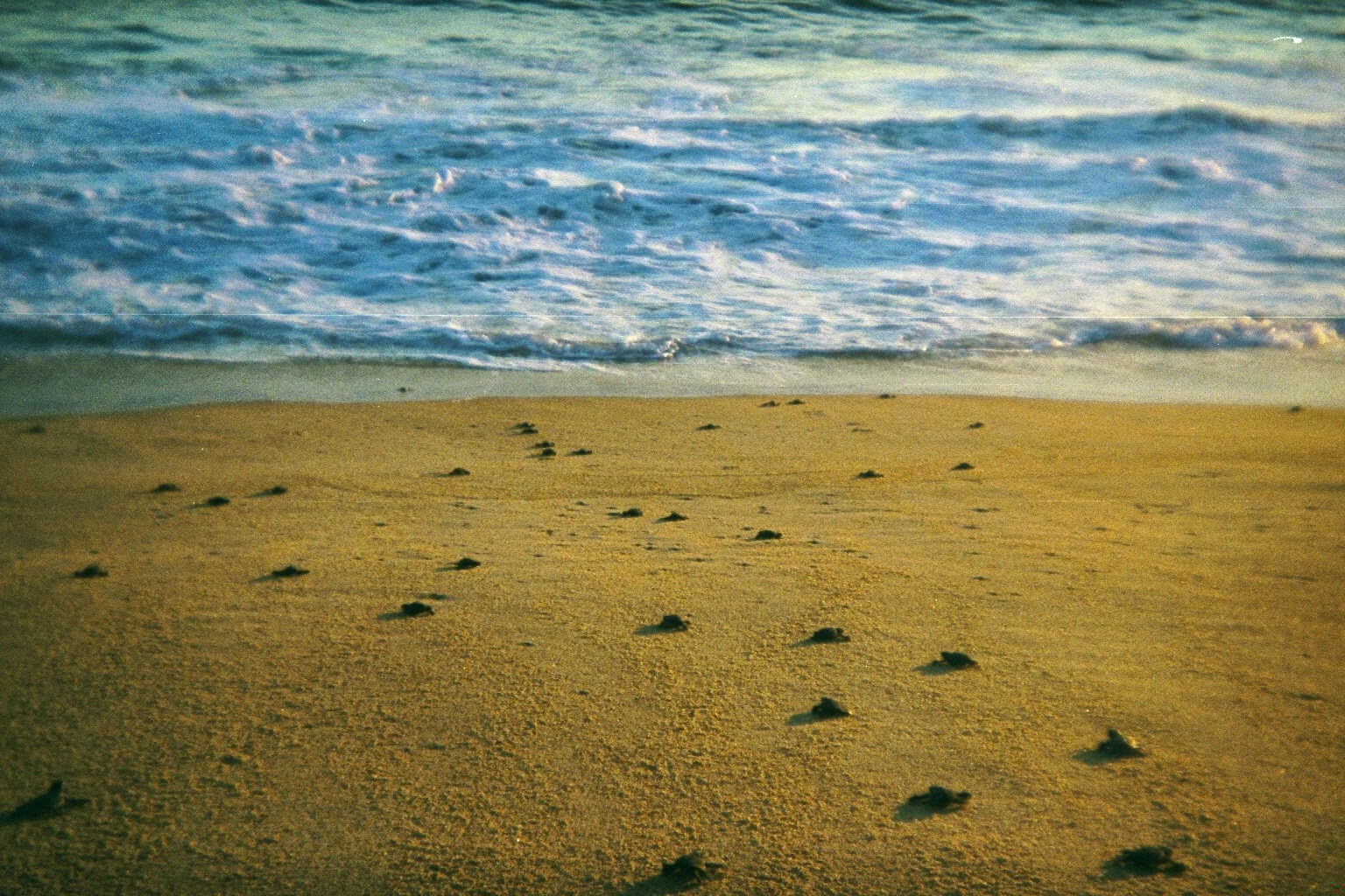 Zdarzają się takie rzeczy, które są jak pytania. Mija minuta, …