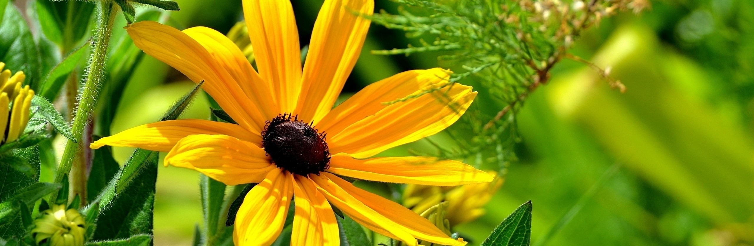 Rośliny są jak ludzie, potrzebują miłości, ale i ludzie są …