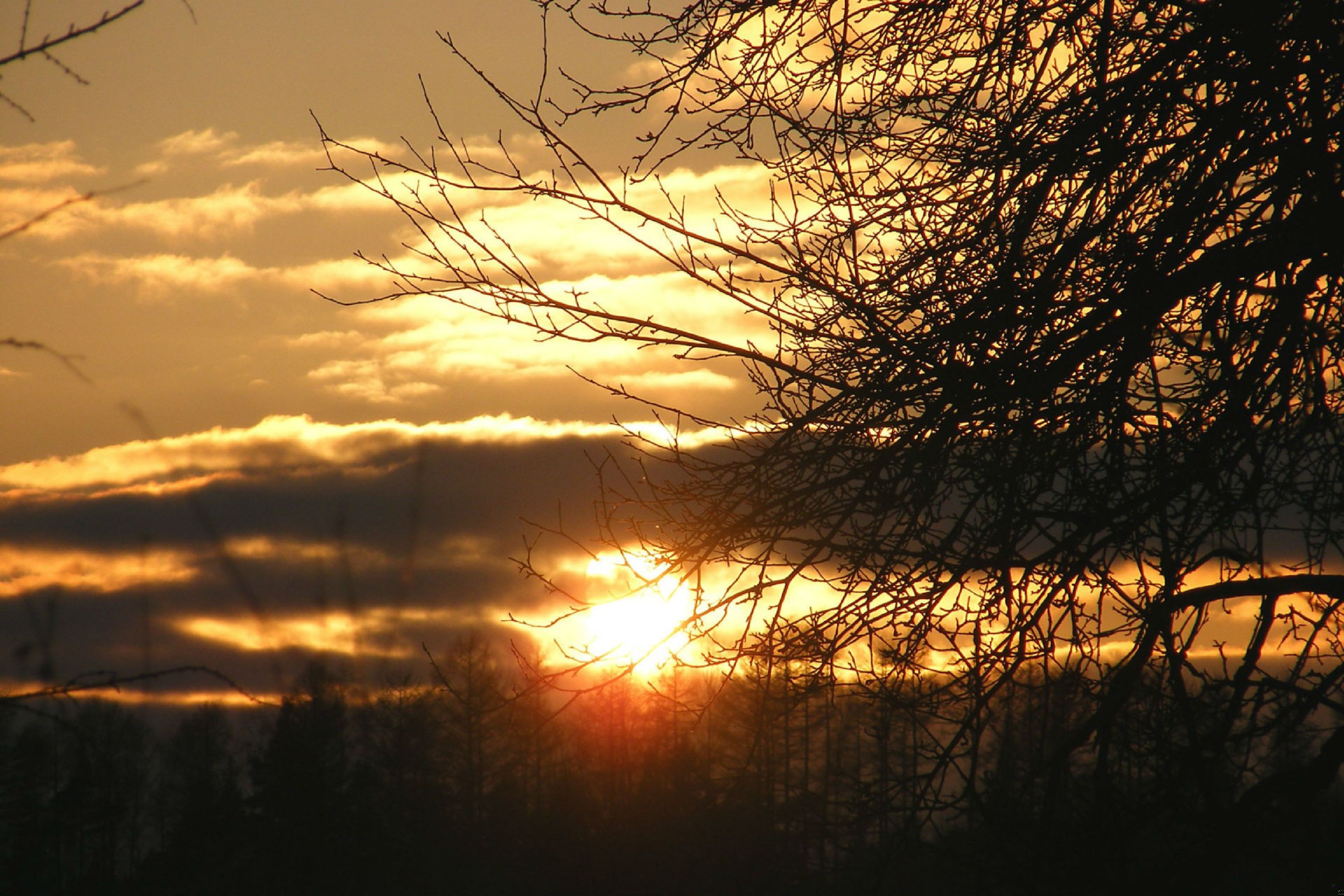 Coś i tak zostanie po tobie, choćbyś nie wiem co …