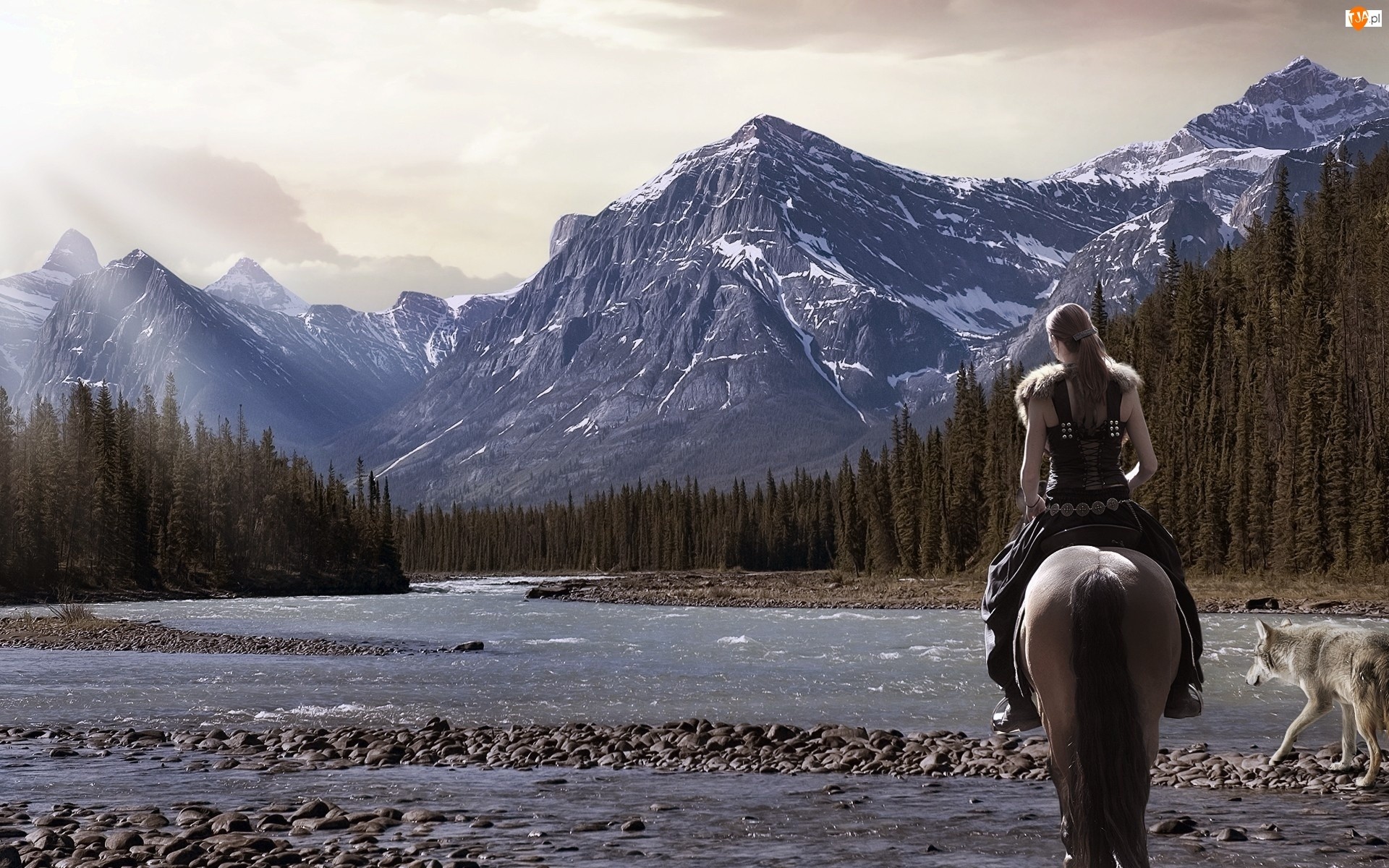 Normalność wcale nie jest taka dobra, na jaką się wydaje.