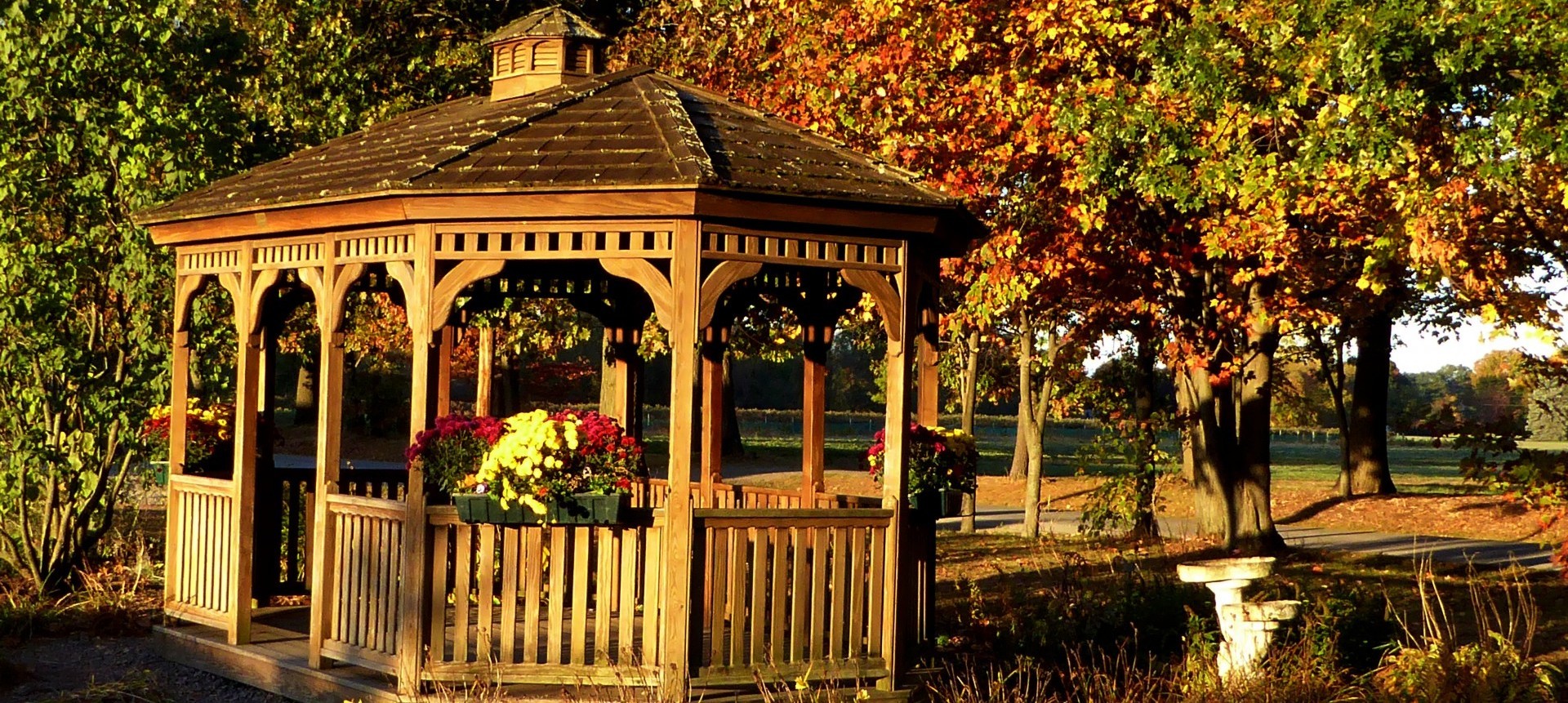 Sekretem dobrej starości jest nie co innego, tylko szczery pakt …