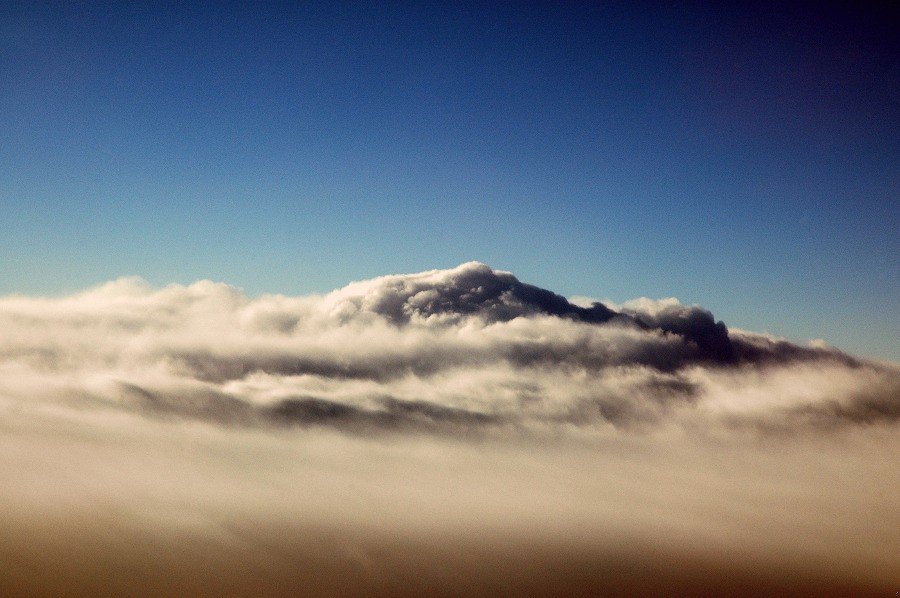 W pośpiechu nie docenia się cudów.