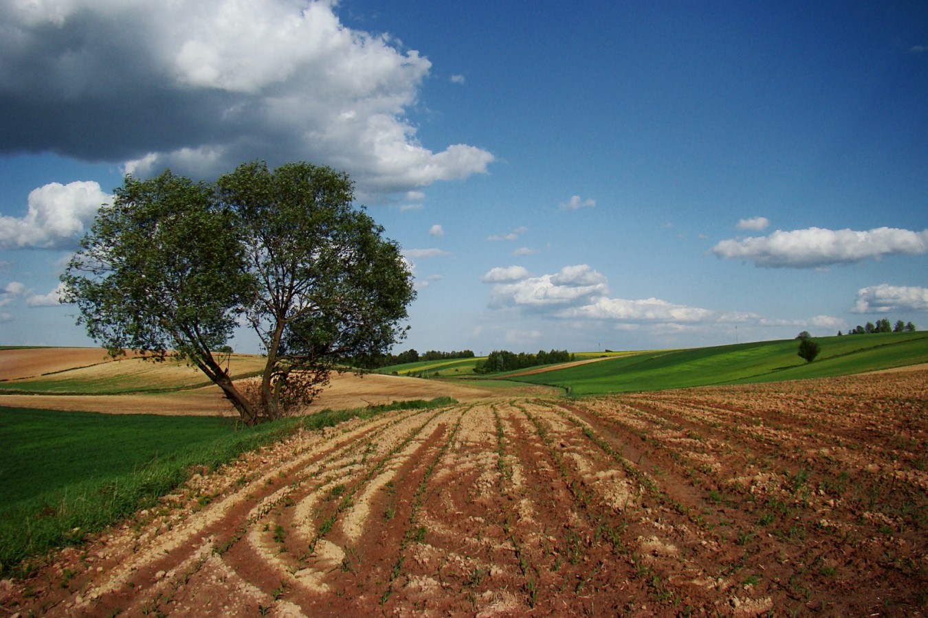 Od tamtej pory przekonałem się wielokrotnie, że rozpacz i przerażenie …