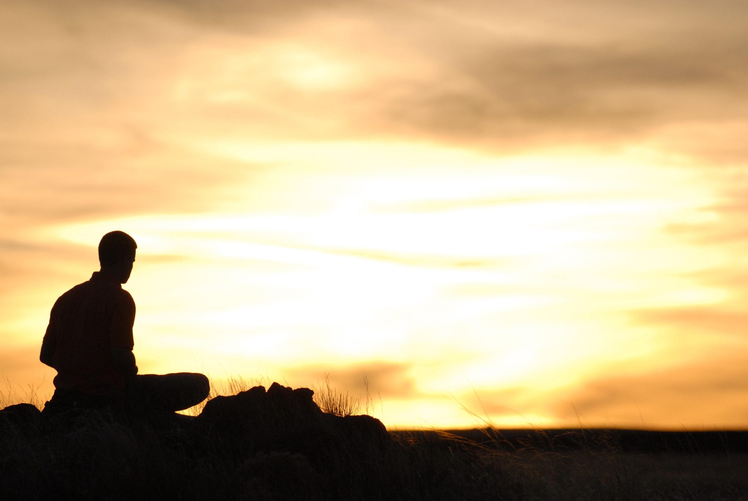 w wieczory takie jak ten uświadamiam sobie, jak bardzo samotna …