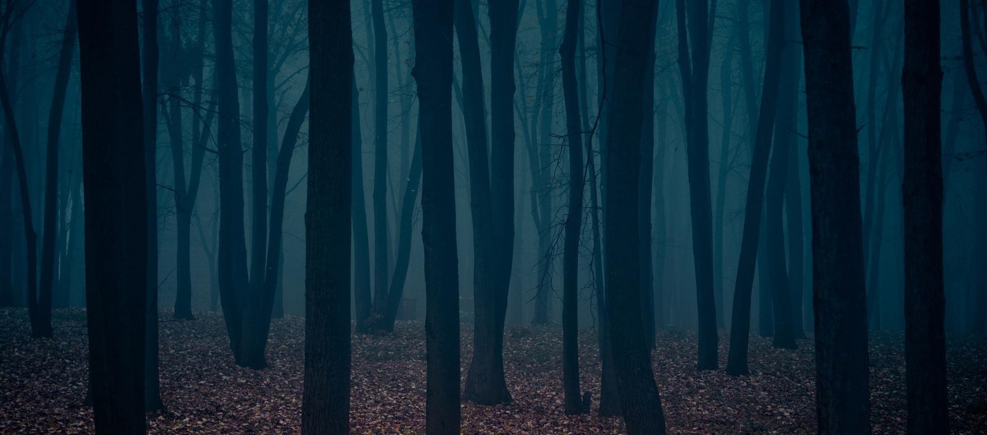 (…) przyciągała go niczym ciemny las dziecko, spodziewające się odkryć …