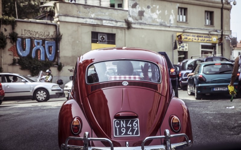 Żyć w świecie, nie rozumiejąc jego sensu, to jak błąkać …