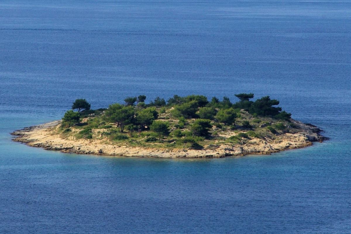 Gdyby ptak kochał rybę, gdzie mogliby zamieszkać?